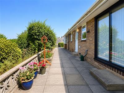 Picture 25